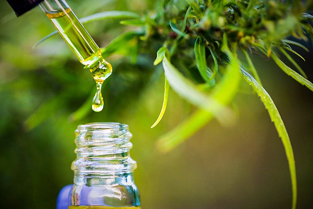 Medicamentos de cannabis: No total, a Anvisa já aprovou 23 remédios a base da planta (Tinnakorn Jorruang/Getty Images)