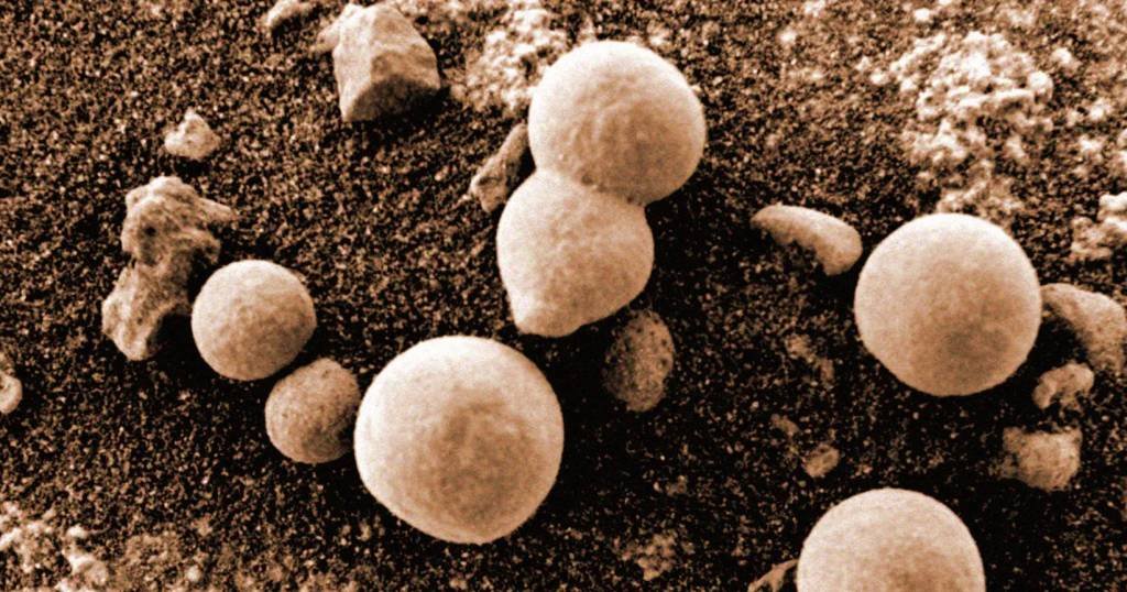 Fungos em Marte? Foto da Nasa confunde pesquisadores
