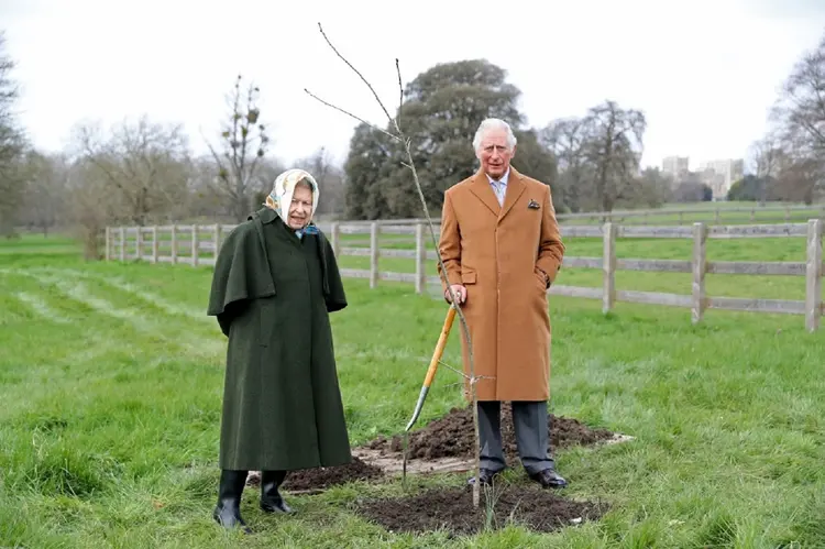 O príncipe Charles estimulou os britânicos a "plantar uma árvore para o Jubileu", que segundo ele será uma "mensagem de esperança e fé no futuro" (AFP/AFP)