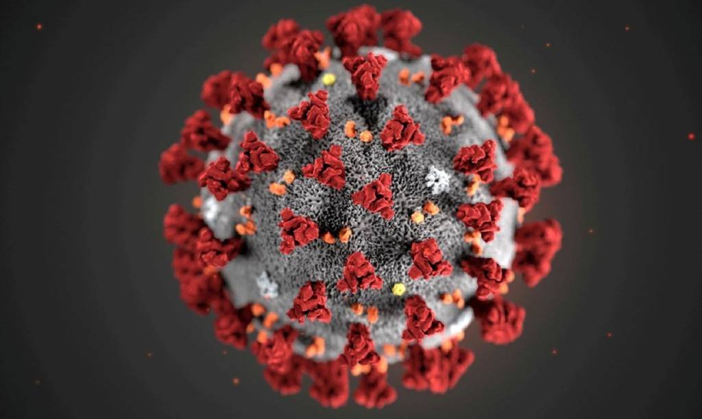 Estudo sobre o novo coronavírus: Segundo os pesquisadores, após uma no hospital, cerca de 20% dos pacientes com covid-19 criaram anticorpos para seus próprios tecidos que não existiam antes (Agência Brasil/Agência Brasil)