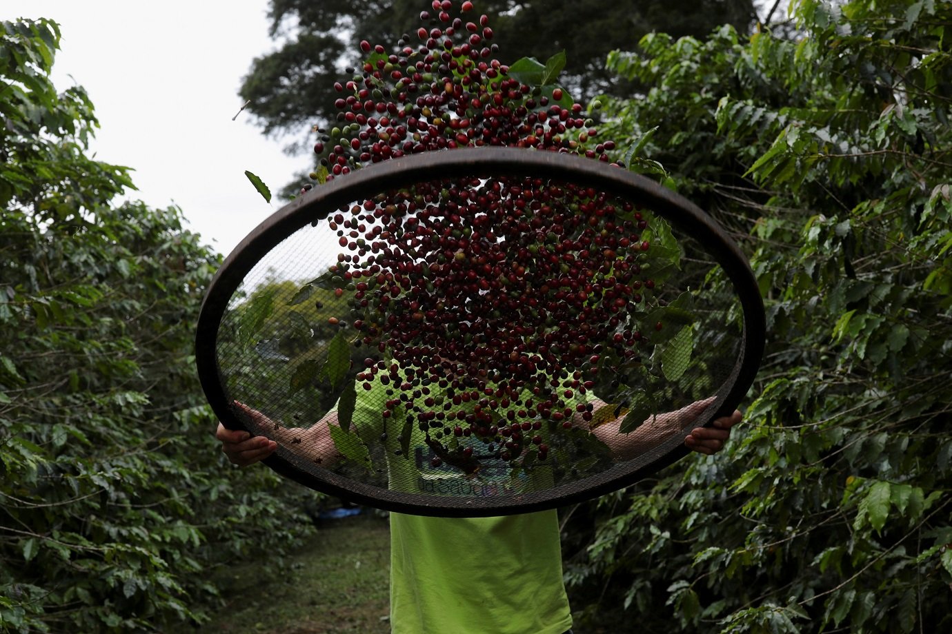 Commodities pesam e IGP-DI passa a subir 3,40% em maio, diz FGV