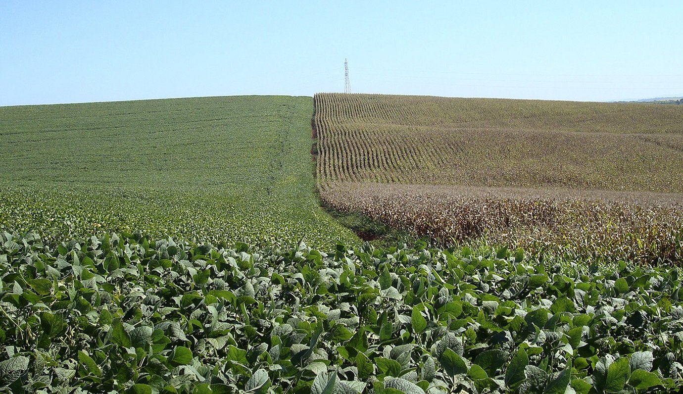 Veja as commodities que já reverteram toda a valorização de 2021