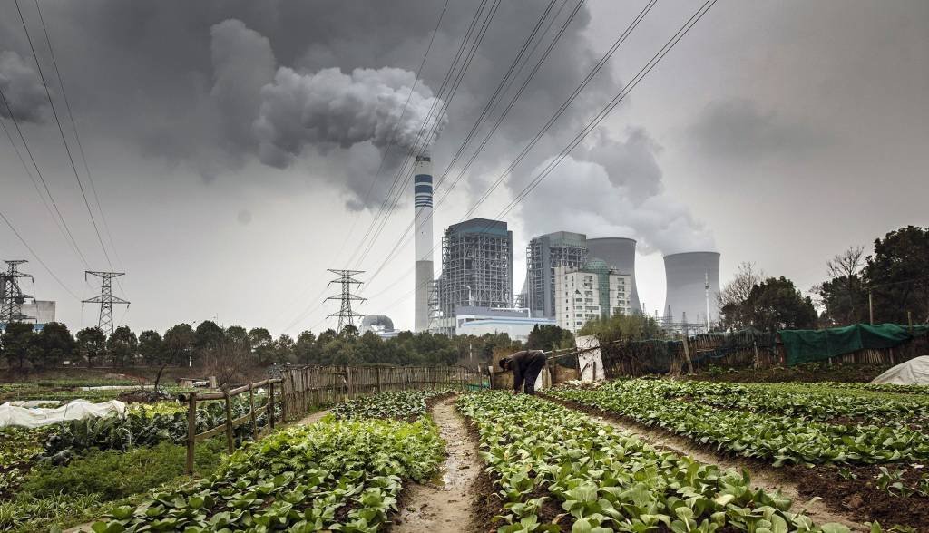 Mercado regulado de carbono pode alavancar agricultura regenerativa
