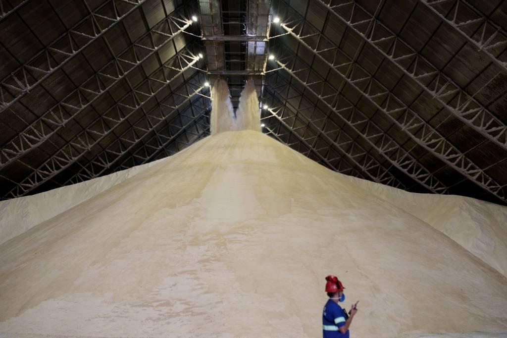 Chuva no Brasil reflete na redução de preços internacionais do açúcar
