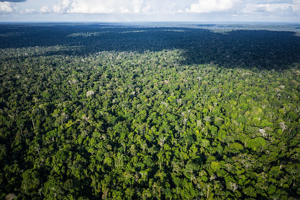 Zona Franca de Manaus tem potencial para impulsionar economia do Brasil