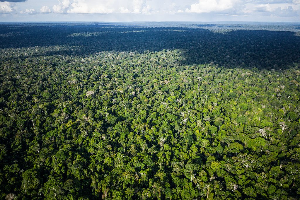 Amazônia: As temperaturas máximas na região, mostram as simulações, poderiam ficar acima dos 40 graus à sombra em pelo menos 7% dos dias do ano no final deste século (AP/Leo Correa/Glow Media)