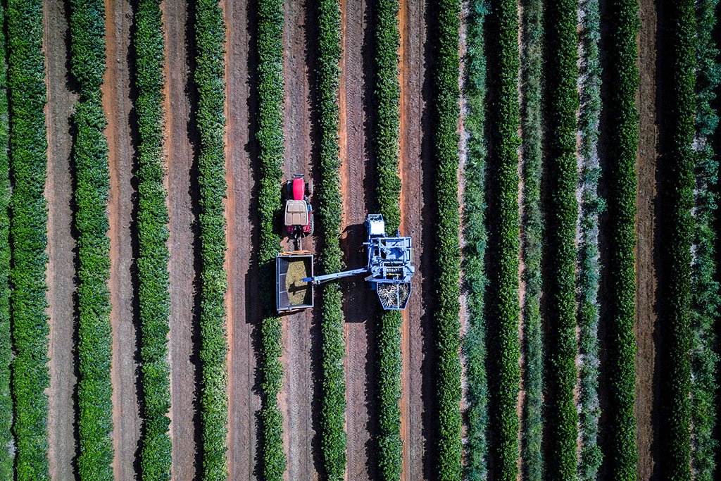 BNDES disponibiliza R$ 5,1 bilhões para o pequeno produtor rural