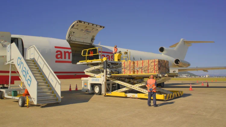 Avião da Americanas: entregas da China em menor tempo (Americanas/Divulgação)