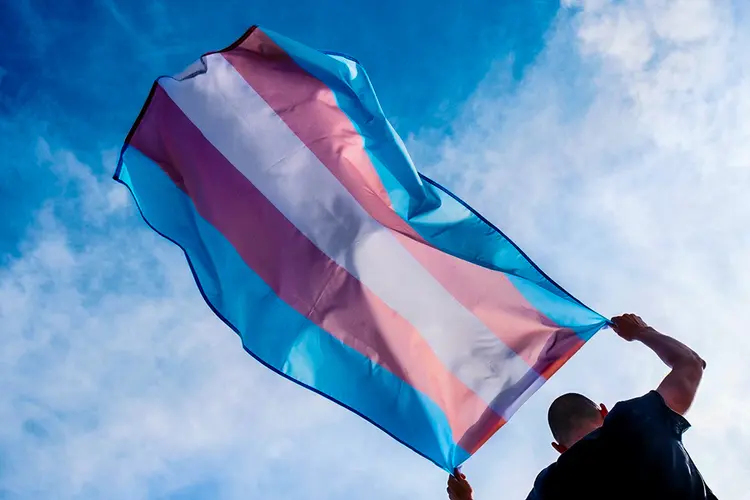 Bandeira da comunidade transgênero: mudanças para o sexo feminino prevalecem (nito100/Getty Images)