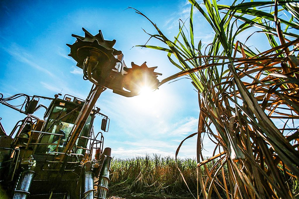 Exportações do agronegócio do Brasil em junho batem recorde de US$ 12 bi