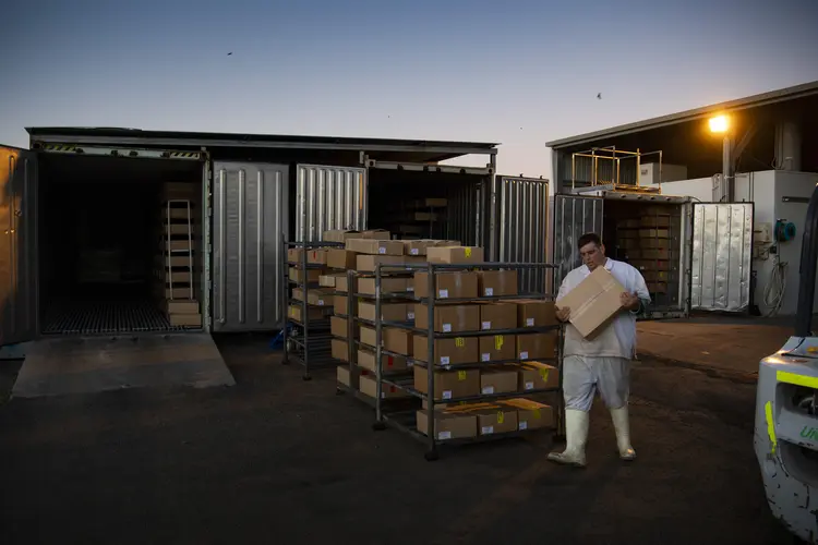 Um trabalhador da Warroo Game Meats com pacotes contendo carne de canguru em Surat, Austrália: um projeto de lei no Congresso visa proibir todos os produtos de canguru da Austrália. (Matthew Abbott/The New York Times)