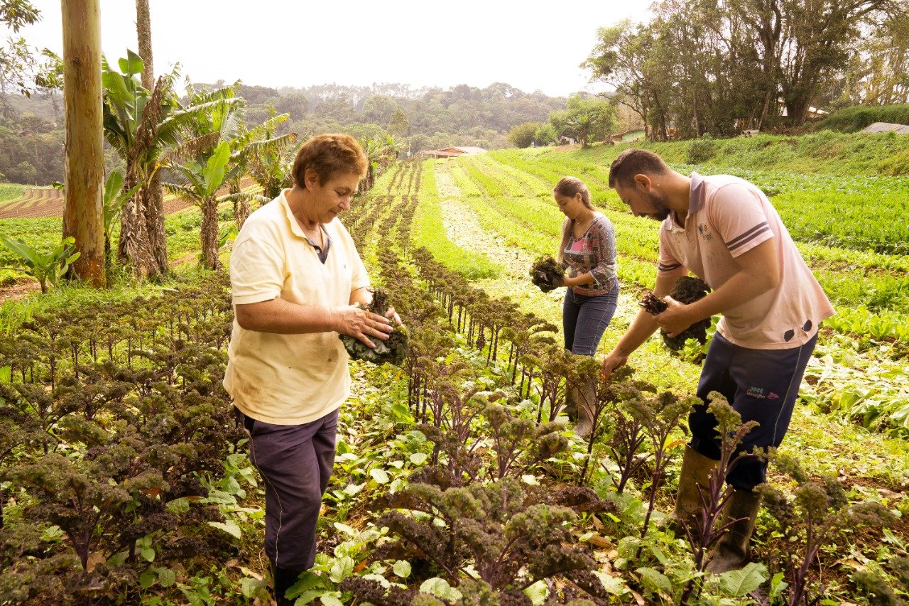 Liv Up levanta R$ 180 milhões e aumenta 50% renda de pequenos produtores