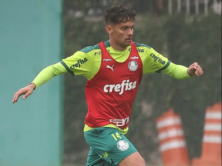 Palmeiras: Verdão encara o Fluminense em casa (Cesar Greco/Divulgação)