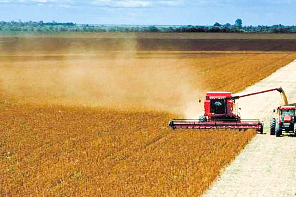 Colheita de soja: o Brasil importa mais de 85% de sua demanda de fertilizantes (Divulgação/Divulgação/EXAME)
