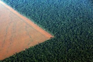 Imagem referente à matéria: Carta da ONU aponta impactos do PL do licenciamento ambiental para direitos humanos e meio ambiente