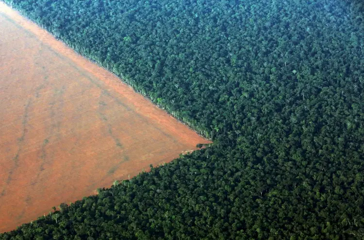 Desmatamento na floresta amazônica, em Mato Grosso | Foto: Paulo Whitaker/ Reuters (Paulo Whitaker/Reuters)