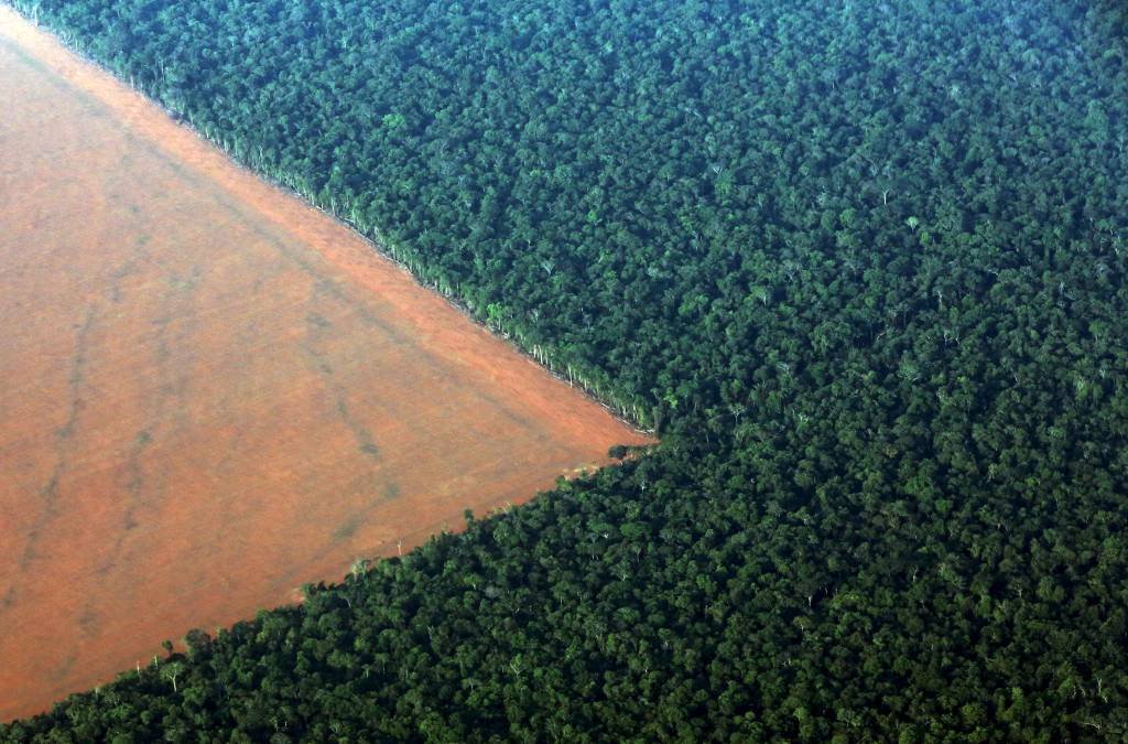Mato Grosso utiliza tecnologia de satélite e aplica multas remotamente para combater o desmatamento ilegal (Paulo Whitaker/Reuters)