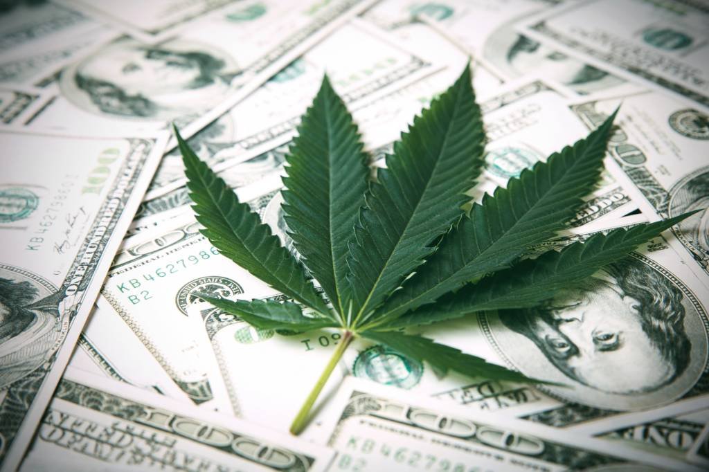 Cannabis Ativo FIM já está disponível para todos os clientes da plataforma com aplicação inicial de 100 reais (pcess609/Getty Images)