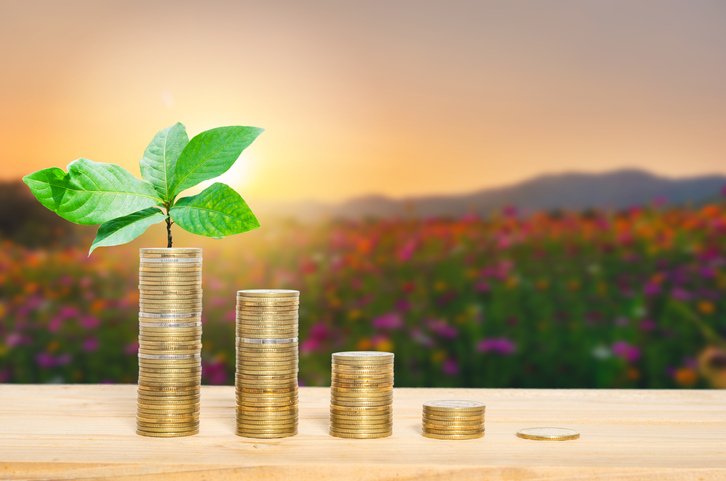 Top 5 fundos ESG no primeiro semestre de 2021