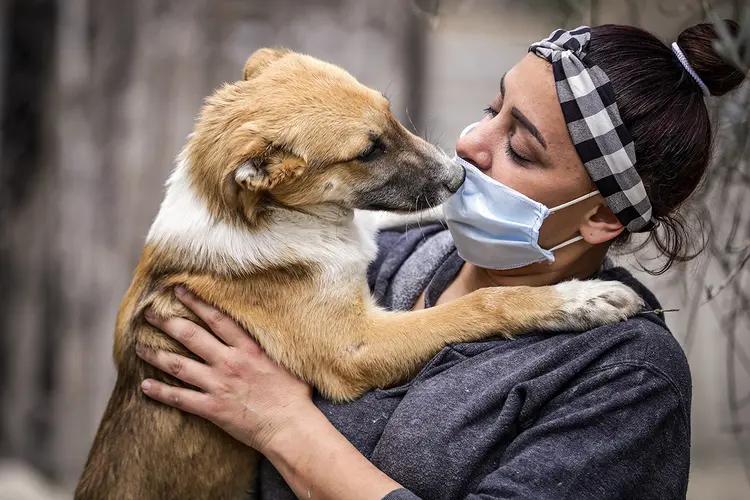 A disseminação do novo coronavírus de humanos para cães e gatos pode ser mais frequente do que se imaginava (Joseph Eid/AFP/Getty Images)