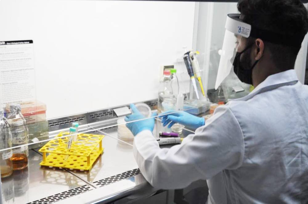 Vacina da UFRJ contra a covid deve ter testes em humanos este ano