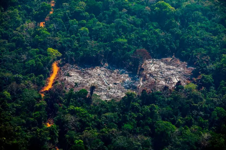 Desmatamento em Altamira, no Pará: Foram 3.610 quilômetros quadrados de floresta perdidos de janeiro a junho, área mais de 50% maior que a média para o período (JOAO LAET/AFP via Getty Images)/Getty Images)