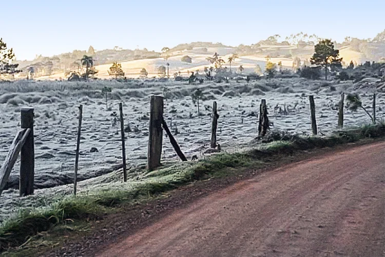 Geada no Sul: podcast discute efeitos da onda de frio na produção de alimentos (Getty Images/Getty Images)