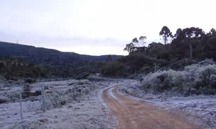 Serra Gaúcha tem registro de Neve na manhã desta quinta-feira, 29