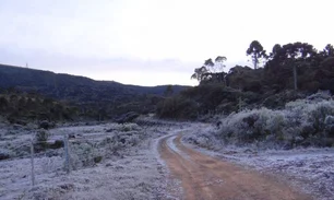 Imagem referente à matéria: Serra Gaúcha tem registro de Neve na manhã desta quinta-feira, 29