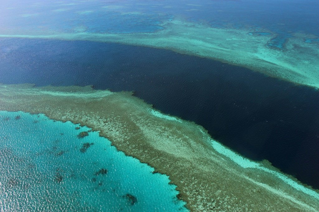 Grande Barreira de Corais escapa da lista de patrimônio mundial em perigo