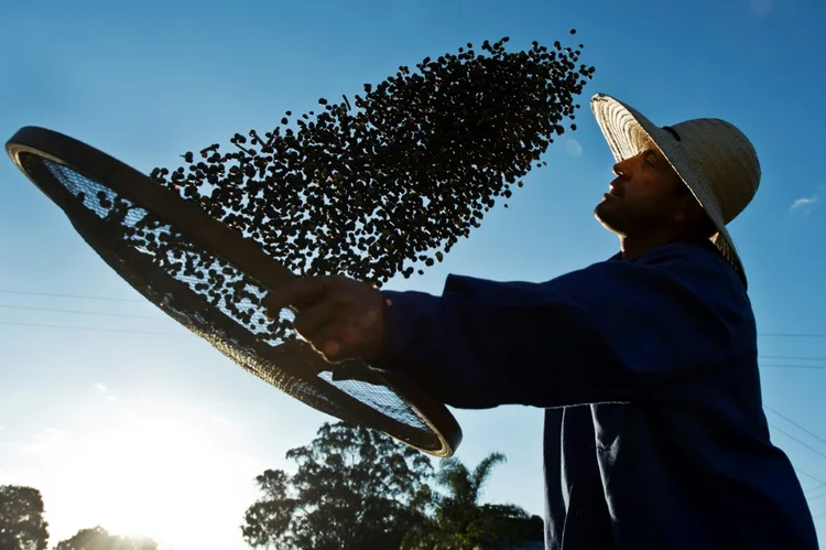 Commodities: O relatório pede que autoridades olhem além das fronteiras nacionais para combater a mudança climática (AFP/AFP)