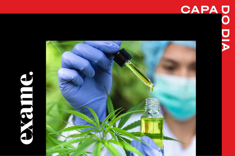 O efeito antinflamatório é o principal interesse dos atletas que consomem o CBD (Tinnakorn Jorruang/Getty Images)