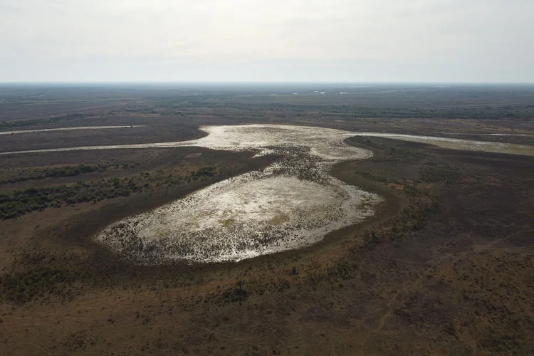 Uma das principais lagoas quase secas em Rosário, 4 de julho, (Bloomberg/Bloomberg)