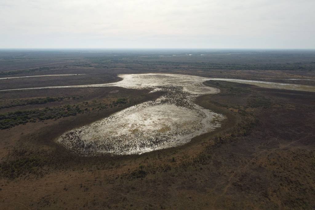 Seca no Rio Paraná afeta exportações de soja da Argentina