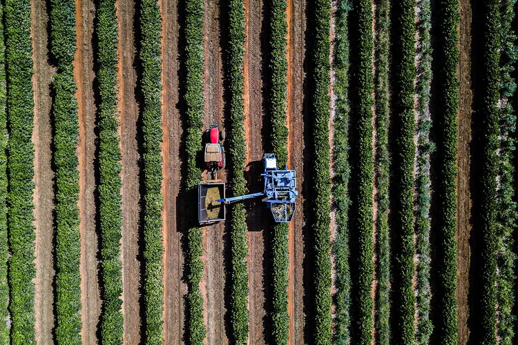 Não é uma disputa entre países. É uma disputa contra o aquecimento global e pela vida. (Bloomberg Creative/Getty Images)