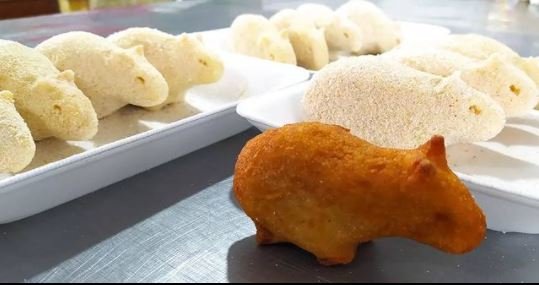 Coxinha de capivara: a cozinheira por trás da iguaria que conquistou a web