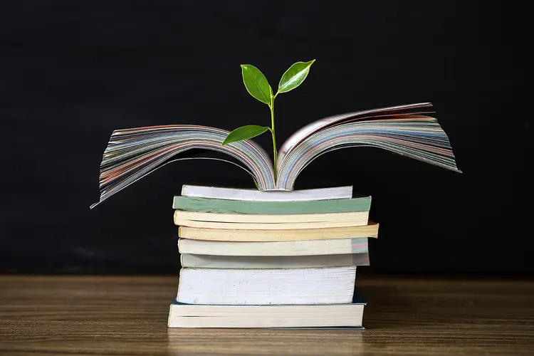 Education concept with tree of knowledge planting on opening old big book (Agência/Getty Images)