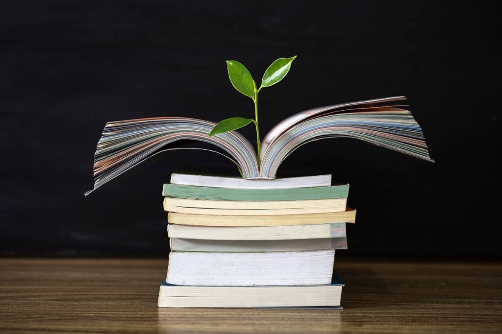 Green economy: books deal with the topic from different perspectives (Agência/Getty Images)