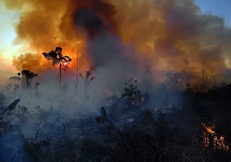 Incêndio ilegal na reserva da floresta amazônica, ao sul de Novo Progresso, no estado do Pará, Brasil, (CARL DE SOUZA/Getty Images)