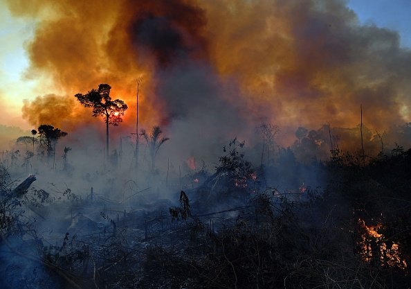 Incêndios florestais deixam novos recordes de emissões este ano