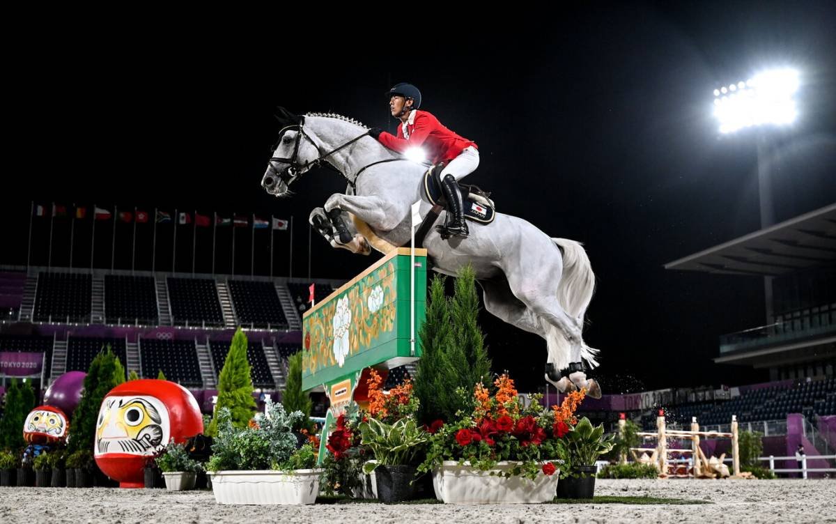 SALTAR SOBRE OBSTÁCULOS COM CAVALO - guia do esporte / hipismo