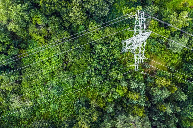 Energia elétrica: startup promete economia de até 20% na conta de luz (Agência/Getty Images)