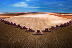Associação de produtores de soja dos EUA pede socorro a Trump em meio ao tarifaço