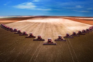 Imagem referente à matéria: Associação de produtores de soja dos EUA pede socorro a Trump em meio ao tarifaço