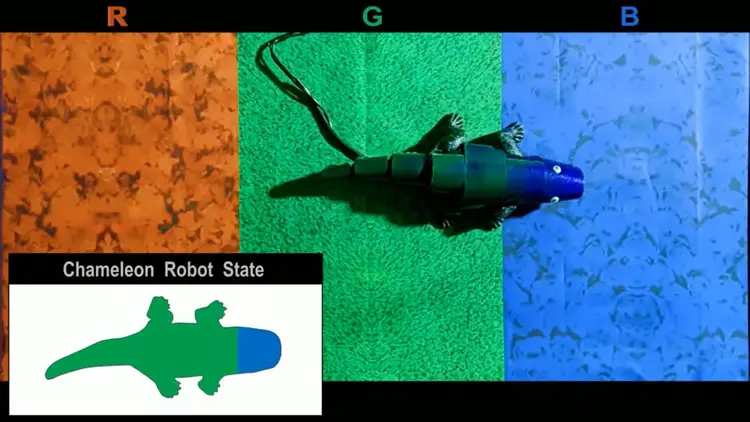 Em captura de tela, robô-camaleão transita entre as cores verde e azul (NPGPress em YouTube/Reprodução)