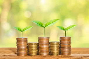 5 profissões para quem gosta de economia verde