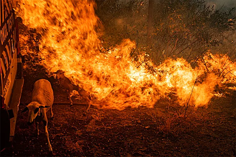 Incêndio em Mugla, na Turquia: Europa vive onda de calor intenso (YASIN AKGUL/AFP/Getty Images)