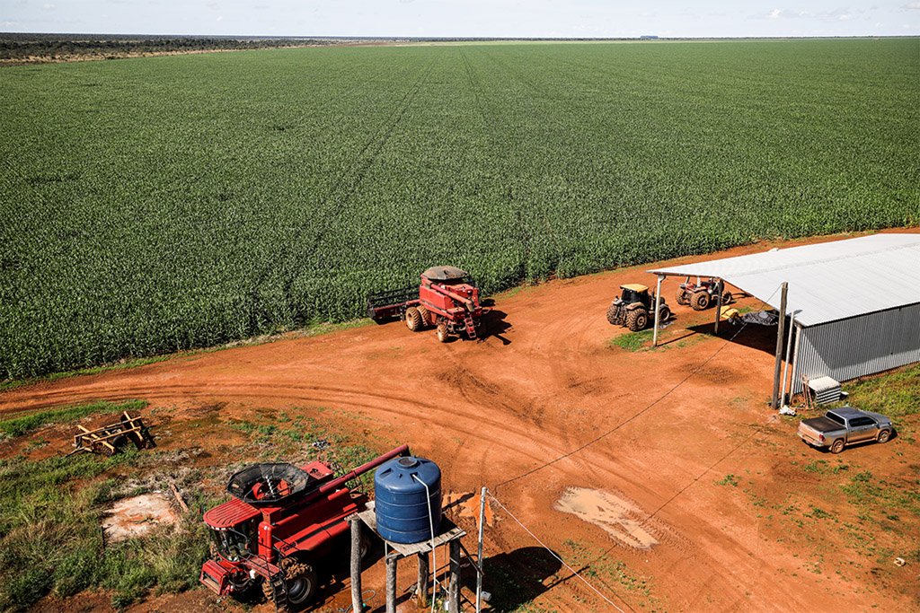 Plantio de milho do centro-sul do Brasil atinge 4,1% da área, diz AgRural