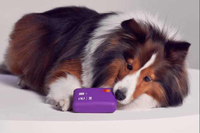 Nubank e Zee.Dog lançam 'cartão' para cachorro