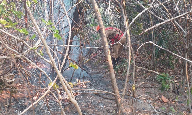 Incêndio: grupo de aproximadamente 150 pessoas, incluindo voluntários, atua para conter as chamas. (Corpo de Bombeiros de Goiás/Reprodução)